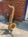 Musical instrument Saxophone Reed Reed instrument Saxophonist